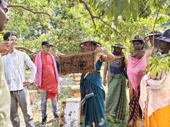 World Bee Day: New momentum for pollinator conservation - News | IUCN