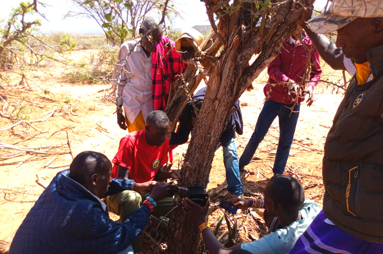 ©Lion Landscape Kenya Tanzania CCT plus Discussing in Mloka Camera traps set up in Koija