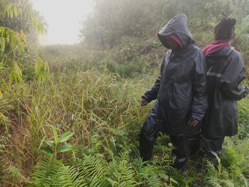 2024A134 Gardiennage des rizieres © IMPACT Madagascar