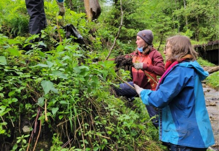 Conservationists in Europe are racing to stop the next invasive species before it spreads 8 image 11