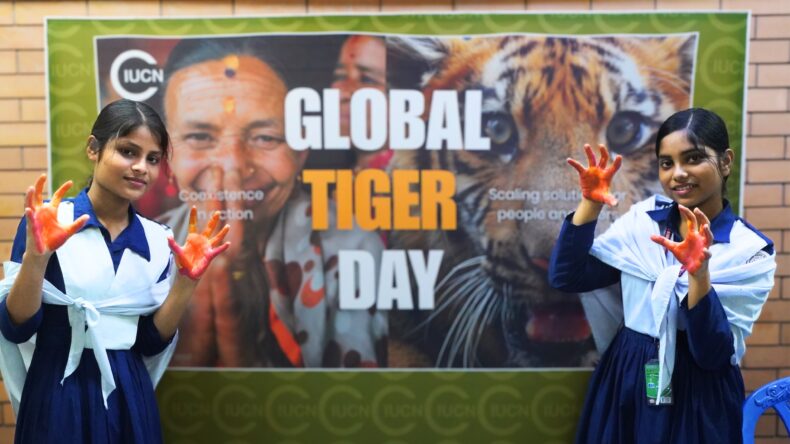 Young changemakers unite in their commitment to protect the Bengal tiger