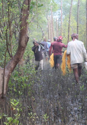 4508 WTI Nolgora Sundarban India Samrat Paul 1