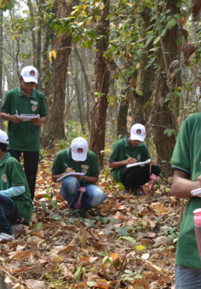 4509 TigerScout field works Mirgang Bangladesh WildTeam 1