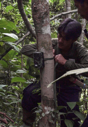 Camera Trap Instalment 1