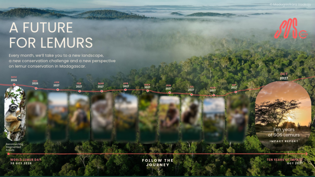 A Future for Lemurs: The people, landscapes and conservation efforts protecting Madagascar's most threatened species 7 Nature Conservation Hero Banner