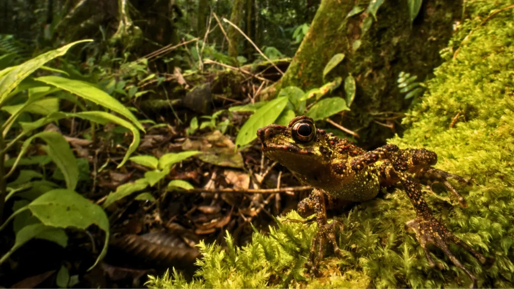 SRA Featured Image