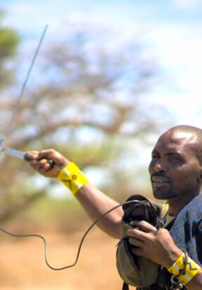 Tanzania Lion Tracking Credit Kope Lion